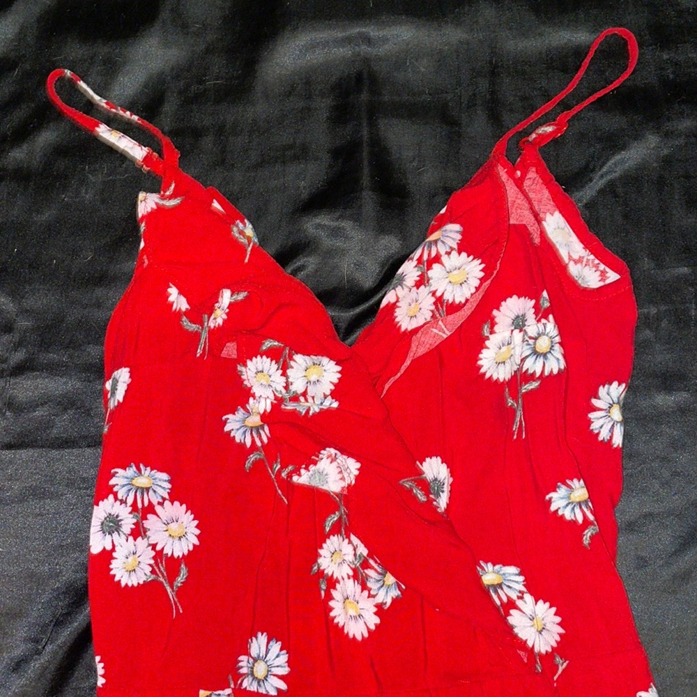 ℛℯ𝒹 𝒹𝒶𝒾𝓈𝓎 𝒿𝓊𝓂𝓅𝓈𝓊𝒾𝓉!